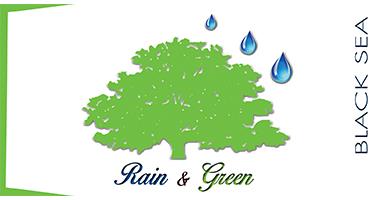 Rain & Green;